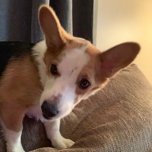 Meet your Posher, Emilie